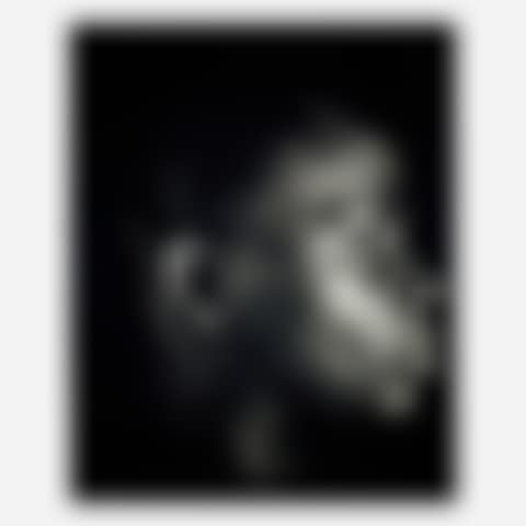 Found Portrait of a Young Negro Scholar (preview)