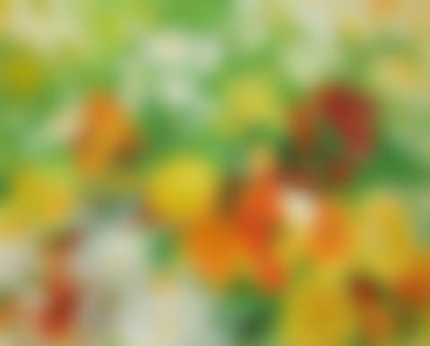 Les dahlias (preview)