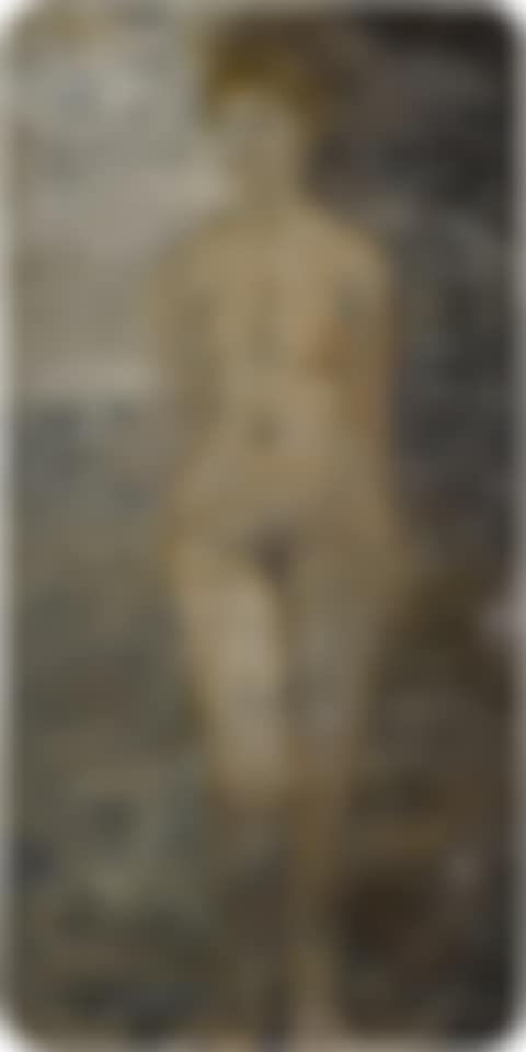 Desnudo femenino (De origen y riesgo perpetuos) (preview)