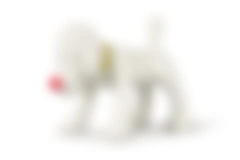 Doggy Radio (preview)