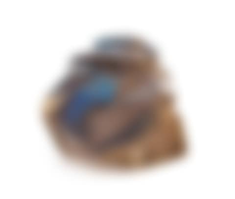 Le Mole (preview)