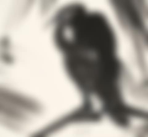 Eagle (preview)