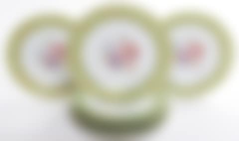Eight Tirschenreuth Porcelain Dinner Plates (preview)