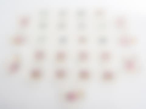 A Collection of Boxed English Porcelain Saucers (preview)