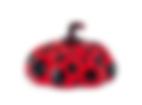 Naoshima Red Pumpkin (preview)