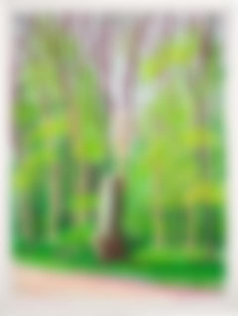 The Arrival of Spring in Woldgate, East Yorkshire in  (twenty eleven) - 19 April (preview)