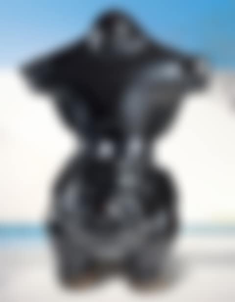Dragon-Riding Buddha (preview)
