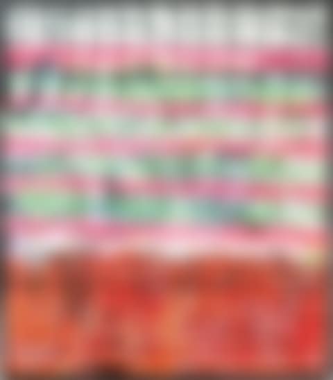 Sterling Ruby 斯特林・魯比 | SP15 (preview)