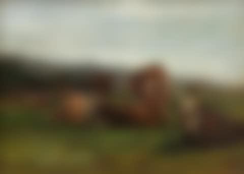 tude des vaches (preview)