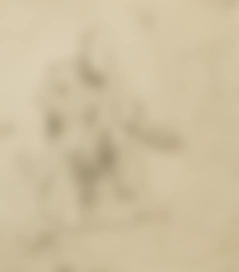St. Peter in Penitence (preview)