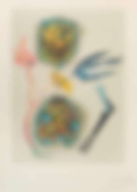 Apparition of the Rose (preview)