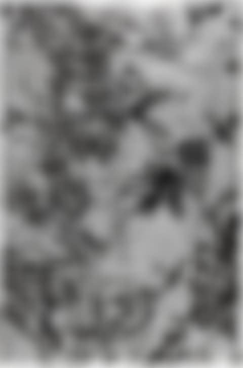Untitled (SK-FV) (preview)