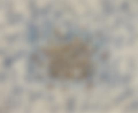 Recurrence PK99008 (preview)
