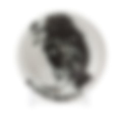 Oiseau au ver (preview)