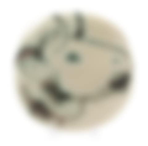 Bull"s Profile (preview)