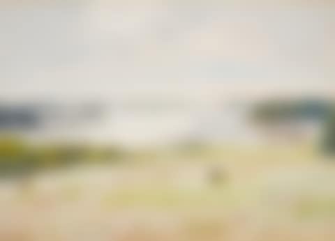 Morning Sun Over the South Meadow (preview)