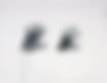 Head and shrunken hand (preview)
