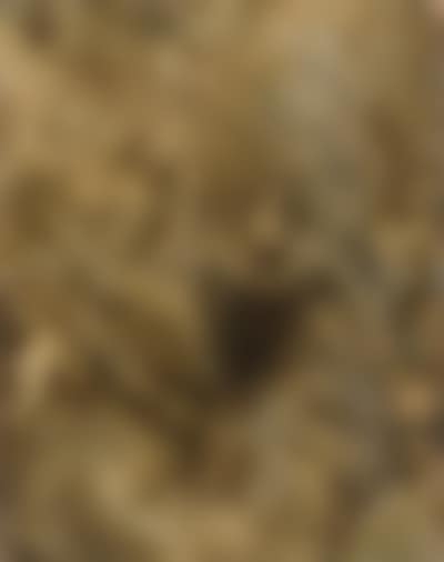 Mystic Marriage of St. Catherine of Alexandria, with Angels (preview)