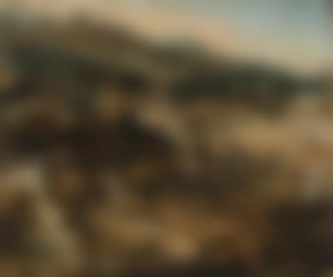 Extensive landscape (preview)