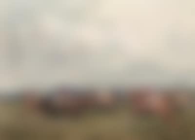 Start of the 2000 Guineas, Newmarket (preview)