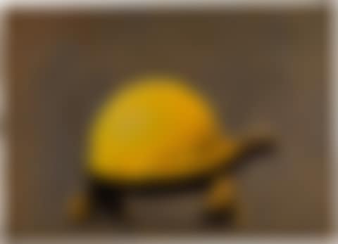 Tortoise Helmet (preview)