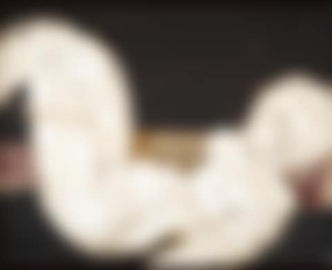 Matisse como Pretexto (preview)