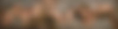 Procession of genii, putti and children with bear and lion (preview)