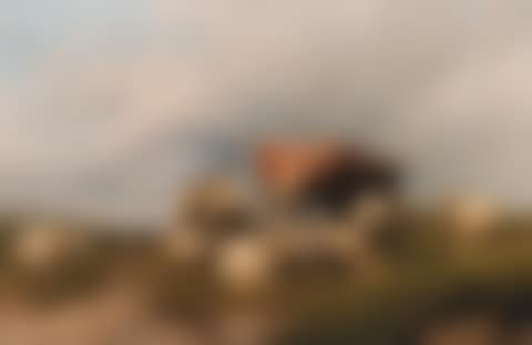 Cow and sheep on the cliffs (preview)