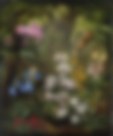 Orchids (preview)