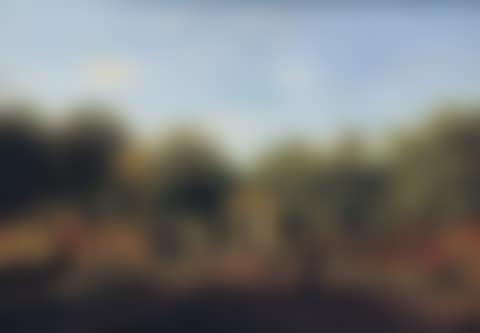 Elegant company near chateau (preview)