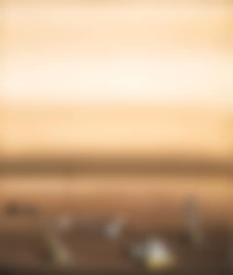 Finir par mordre (preview)
