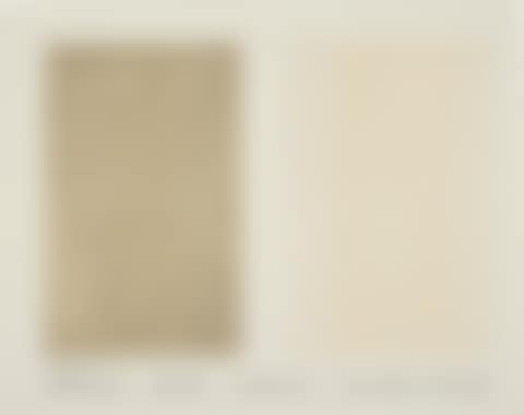 Jasper Johns Drawings, January 10-31, Leo Castelli (preview)