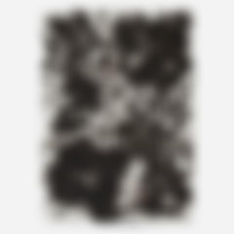 Untitled (LAP19) (preview)