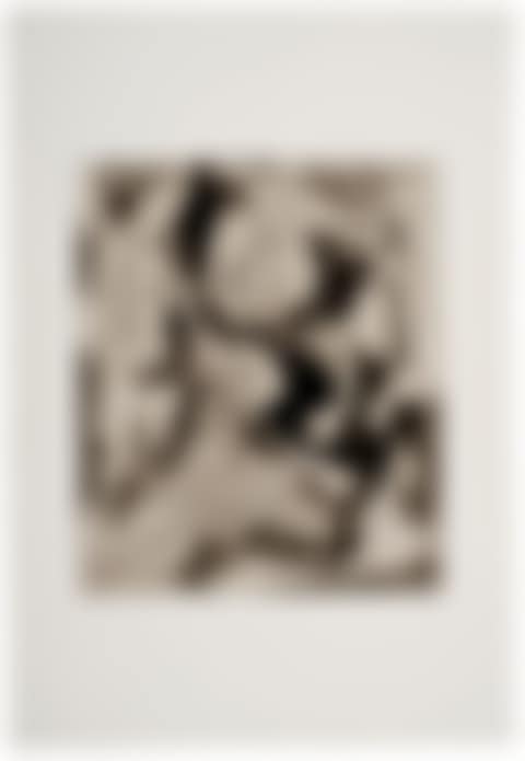 Untitled (P13) (preview)