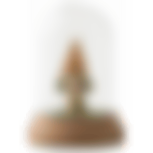 Mini Mori Girl (preview)