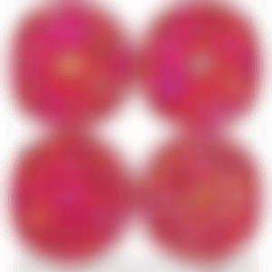 1. Flowers of Gratitude／2. Inside the Soul／3. Let us Devote Our Hearts／4. Fireball (preview)
