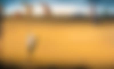Invisible lovers (preview)