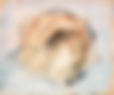 Fruit (preview)