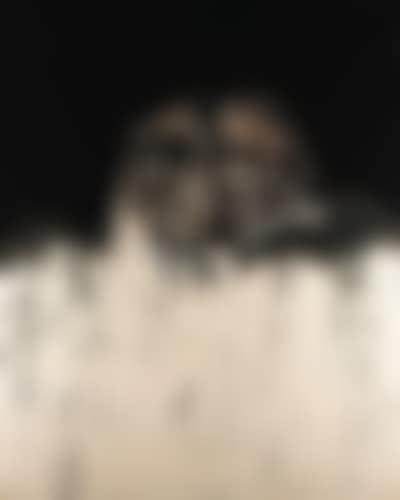 Retrato imaginario de Goya (preview)