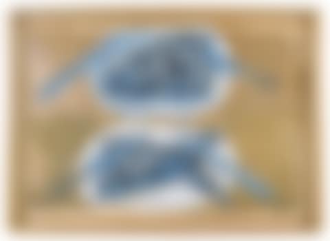 Still life (preview)