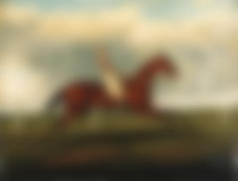 Bay racehorse with jockey up in colours of Mr Richard Watt (preview)