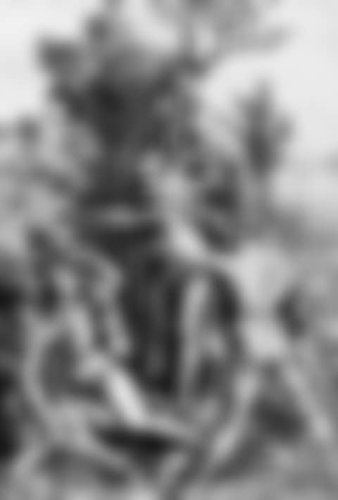 Sea monster (preview)