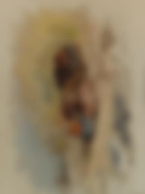 Dusting partridge (preview)