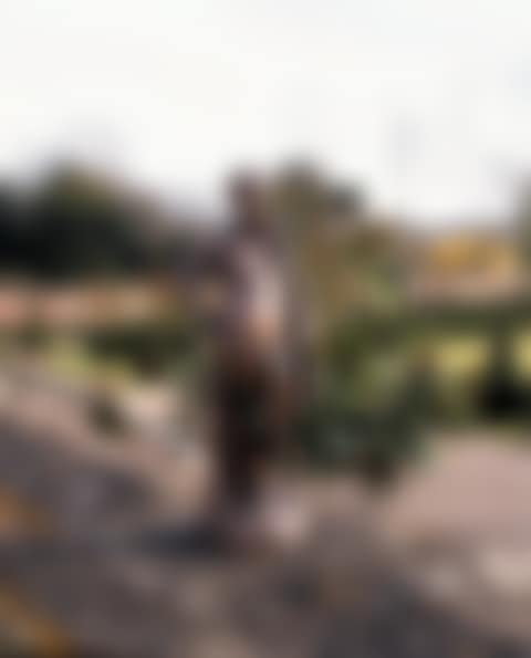 The Belvedere Antinous (preview)