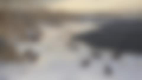 Mallard, teal, coot and smew on Hickling Broad in winter, Stubb Mill beyond (preview)