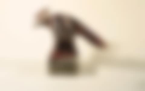 Bird (preview)