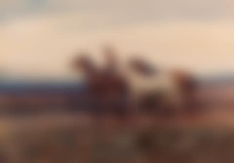 Gypsy and ponies (preview)