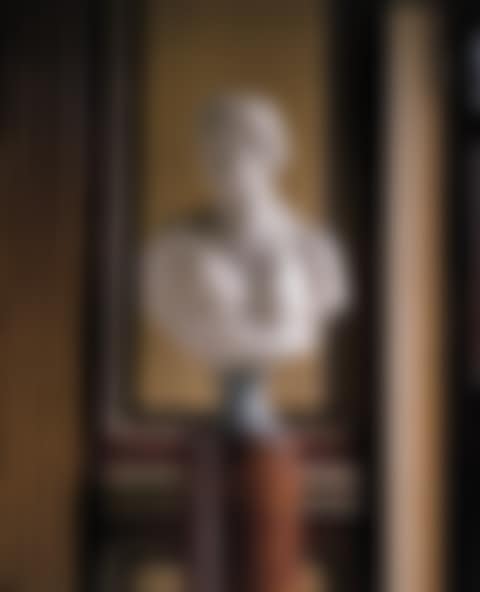 Bust of a nymph with drape over right shoulder (preview)