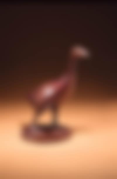 Goose (preview)