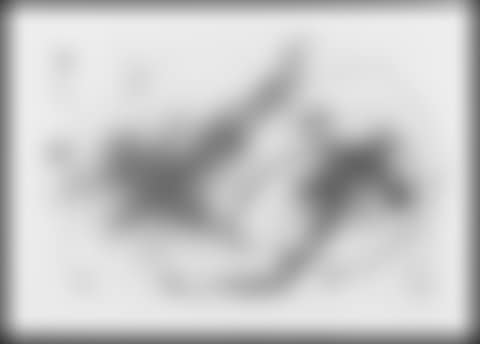 Partie de campagne IV (preview)